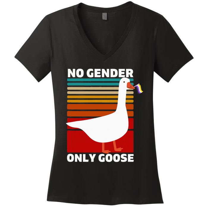 Non Binary Pride Funny No Gender Only Goose Lgbtq Enby Flag Women's V-Neck T-Shirt