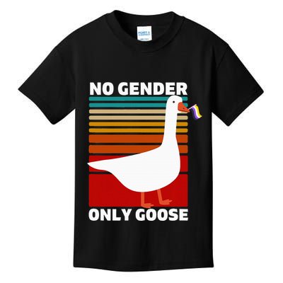 Non Binary Pride Funny No Gender Only Goose Lgbtq Enby Flag Kids T-Shirt