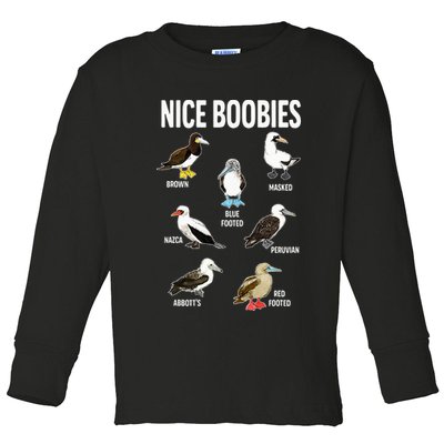 Nice Boobies Pun Adult Joke Funny Bird Lover Birdwatcher Toddler Long Sleeve Shirt