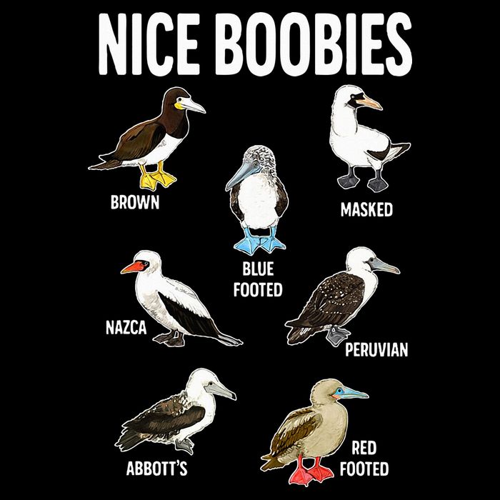 Nice Boobies Pun Adult Joke Funny Bird Lover Birdwatcher Women's V-Neck T-Shirt