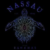 Nassau Bahamas Tortoise Turtle Tribal Diving Fishing Women's V-Neck T-Shirt
