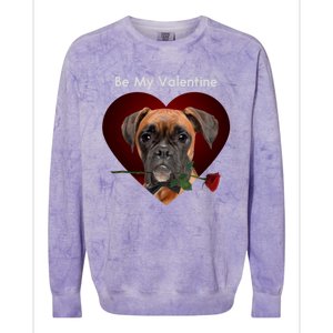 Novelty Boxer Valentine's Day Cool Gift For Doxie Lovers Gift Colorblast Crewneck Sweatshirt