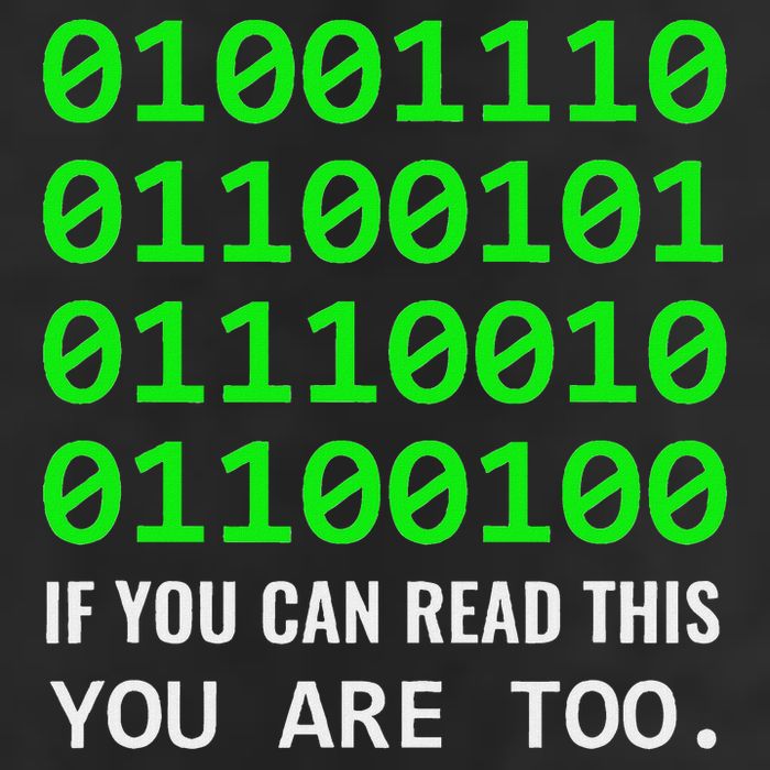 Nerd Computer Binary Code For Developer Geeks & Admins Garment-Dyed Heavyweight T-Shirt