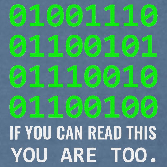 Nerd Computer Binary Code For Developer Geeks & Admins Garment-Dyed Sweatshirt