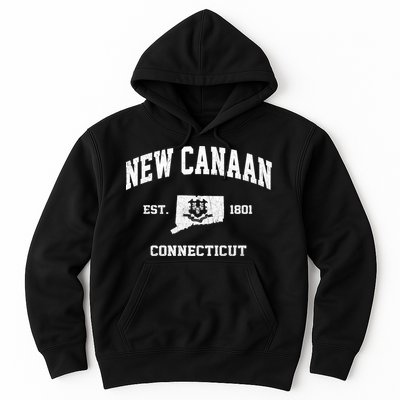 New Canaan Connecticut CT Vintage State Athletic Style Hoodie
