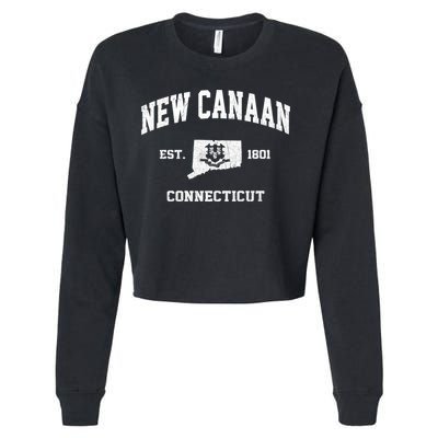 New Canaan Connecticut CT Vintage State Athletic Style Cropped Pullover Crew