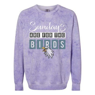 New Classic Fly Eagles Fly Birds Lovers Colorblast Crewneck Sweatshirt