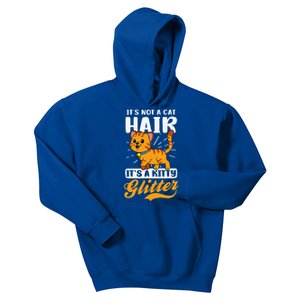 Not Cat Hair It's Kitty Glitter Design Crazy Cat Mom Kids Hoodie