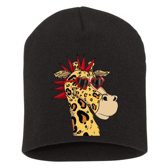 NFT Creator Merch Maui Nancy OG Giraffe Tokenomics Short Acrylic Beanie