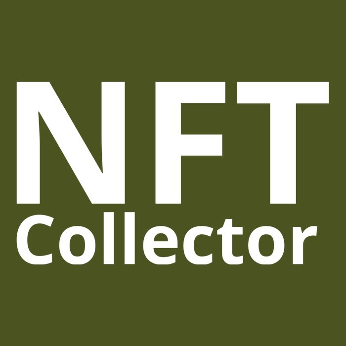NFT Collector Sustainable Bucket Hat