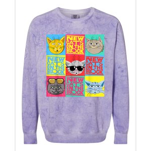 New Cats On He Block Funny Pop Culture Cat Hemed Party Colorblast Crewneck Sweatshirt