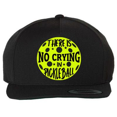 No Crying Pickleball Player Paddleball Lover Dink Funny Wool Snapback Cap