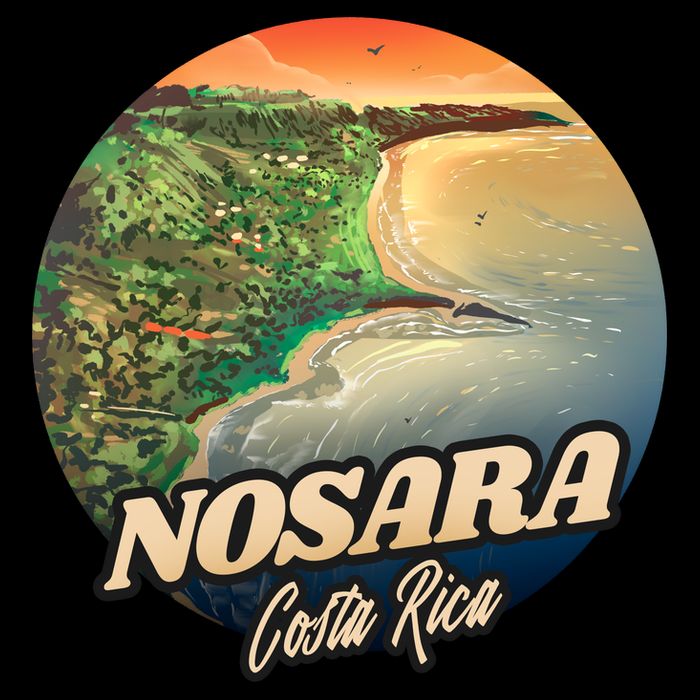 Nosara Costa Rica Touristic 16 in Basic Backpack