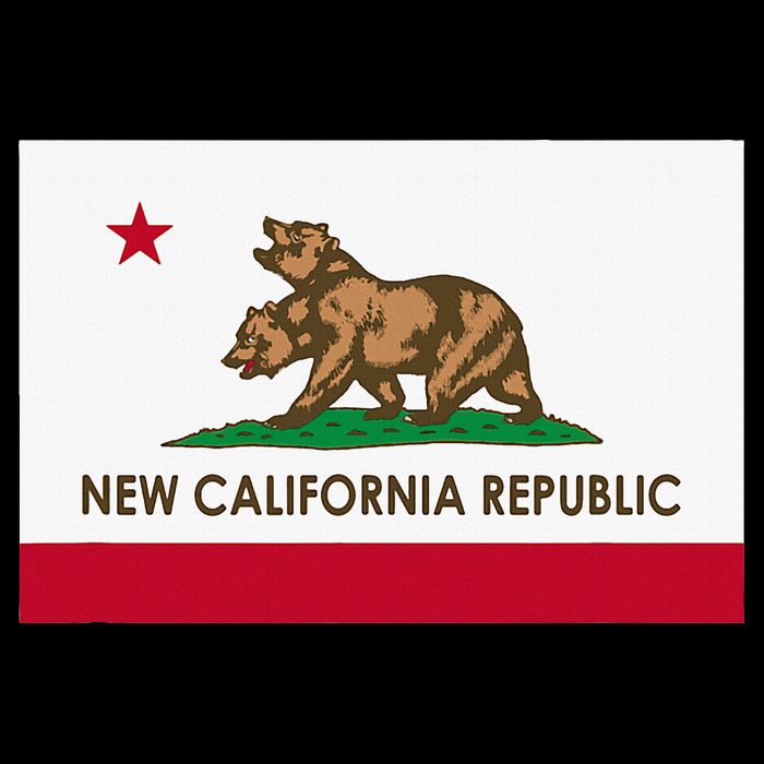 New California Republic Impact Tech Backpack