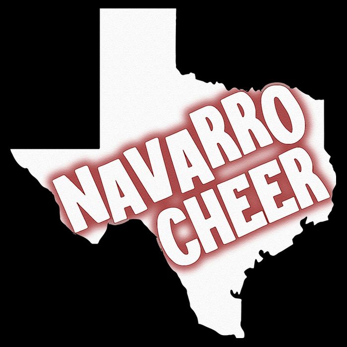 Navarro Cheer Texas Logo 16 in Basic Backpack