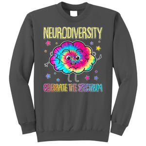 Neurodiversity Celebrate The Spectrum Tall Sweatshirt