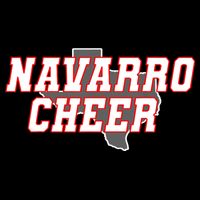 Navarro Cheer Texas Logo 16 in Basic Backpack