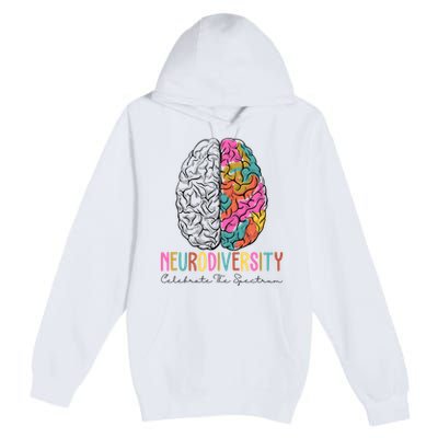 Neurodiversity Celebrate The Spectrum Brain Autism Awareness Premium Pullover Hoodie