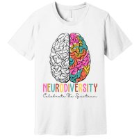 Neurodiversity Celebrate The Spectrum Brain Autism Awareness Premium T-Shirt