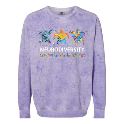 Neurodiversity Celebrate The Spectrum Turtle Planet Autism Colorblast Crewneck Sweatshirt