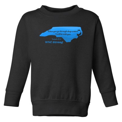 North Carolina Wnc Strong Appalachian Strong Toddler Sweatshirt