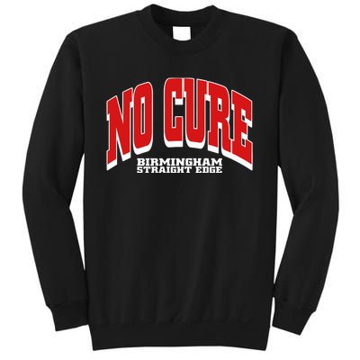 No Cure Xxx No Cure Birmingham Straight Edge Sweatshirt