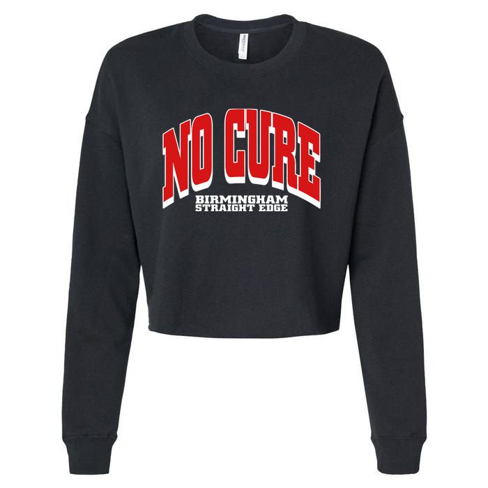 No Cure Xxx No Cure Birmingham Straight Edge Cropped Pullover Crew