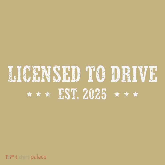 New Driver 2025 Male Driver Licensen Driver Gift T-Shirt