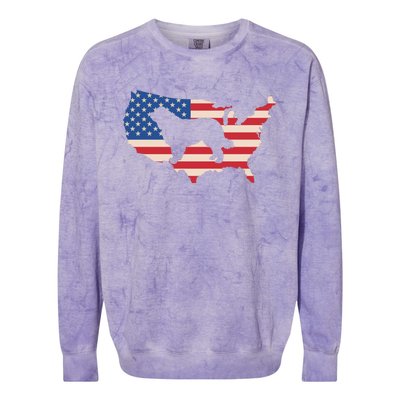 Newfie Dog America Flag Patriotic Dog Lover Gift Colorblast Crewneck Sweatshirt