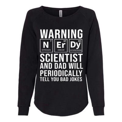 Nerdy Dad And Scientist Will Periodically Tell Bad Jokes Great Gift Womens California Wash Sweatshirt