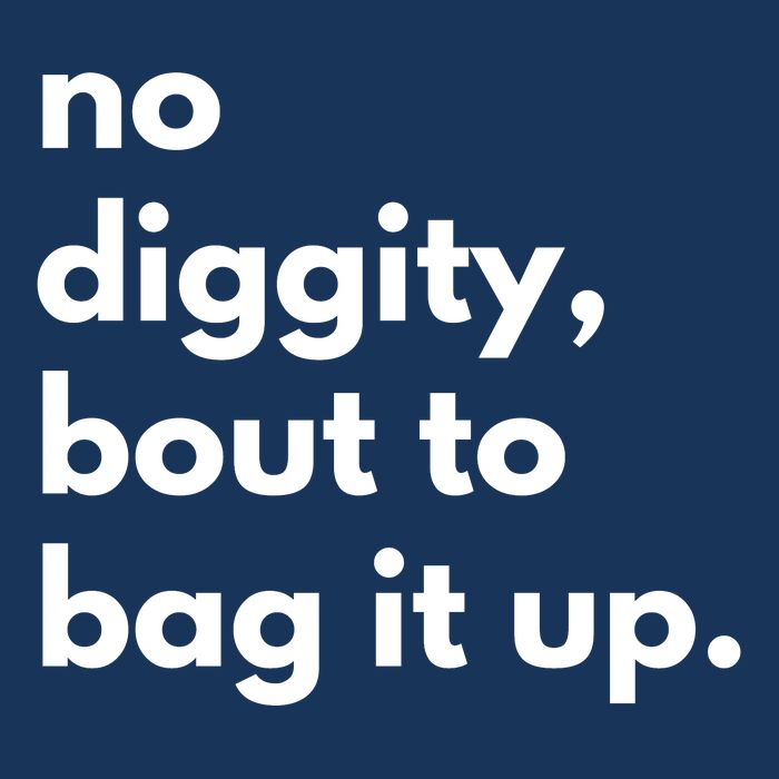 No Diggity Bout To Bag It Up Infant Baby Jersey Bodysuit