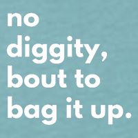 No Diggity Bout To Bag It Up Sueded Cloud Jersey T-Shirt