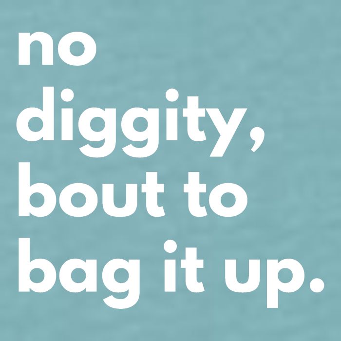 No Diggity Bout To Bag It Up Sueded Cloud Jersey T-Shirt