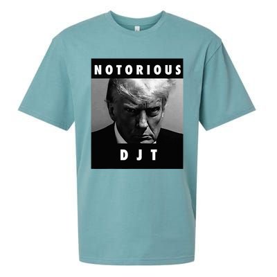 Notorious Djt Donald Trump Mug Shot Republican 2024 Maga Sueded Cloud Jersey T-Shirt