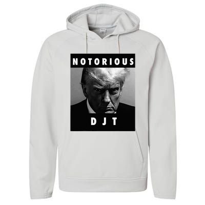 Notorious Djt Donald Trump Mug Shot Republican 2024 Performance Fleece Hoodie