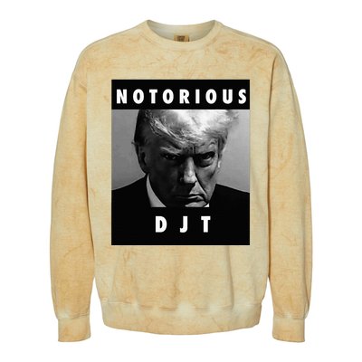 Notorious Djt Donald Trump Mug Shot Republican 2024 Colorblast Crewneck Sweatshirt