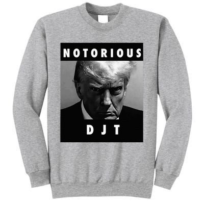 Notorious Djt Donald Trump Mug Shot Republican 2024 Sweatshirt