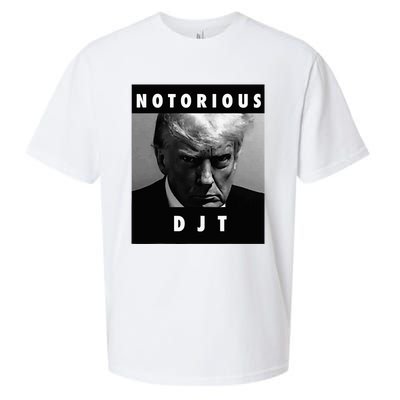 Notorious Djt Donald Trump Mug Shot Republican 2024 Sueded Cloud Jersey T-Shirt