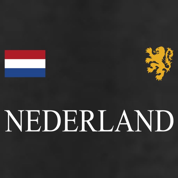 Nederland Dutch Flag Logo Gift 11oz C Handle Ceramic Mug
