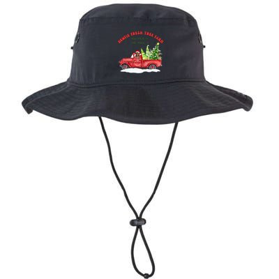 Newfie Dog Fresh Tree Farm  Bucket Hat