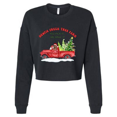Newfie Dog Fresh Tree Farm  Cropped Pullover Crew