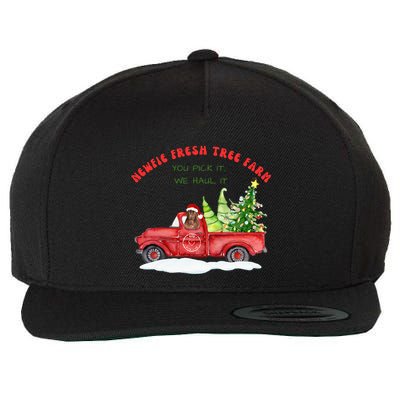 Newfie Dog Fresh Tree Farm  Wool Snapback Cap
