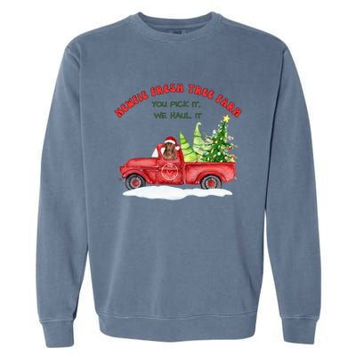 Newfie Dog Fresh Tree Farm  Garment-Dyed Sweatshirt