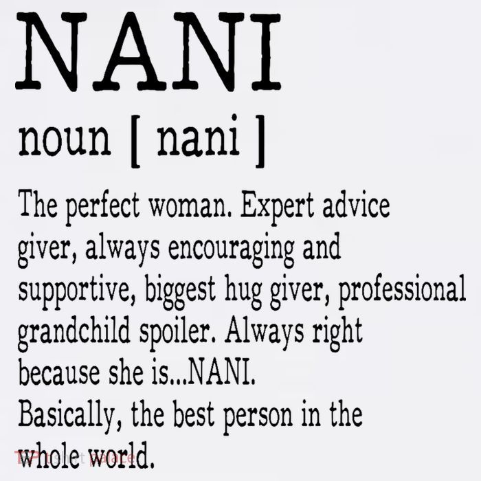 Nani Definition Grandma Mother Day Gifts Women Tall T-Shirt