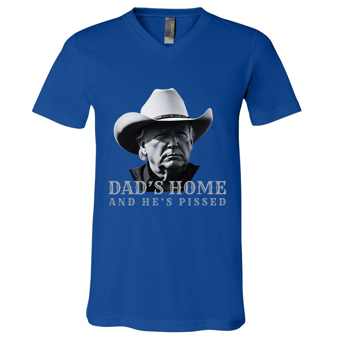 New DadS Home And HeS Pissed Dark Maga Trump DaddyS Home V-Neck T-Shirt