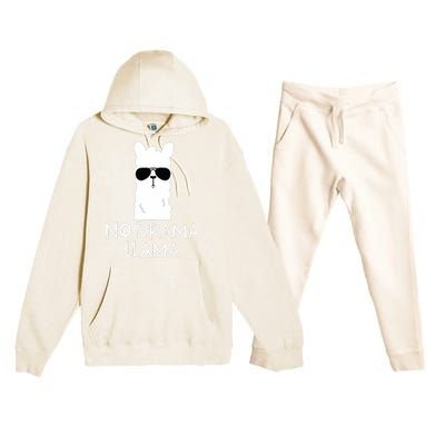 No Drama Llama Alpaca With Sunglasses Llama Lovers Gift Premium Hooded Sweatsuit Set