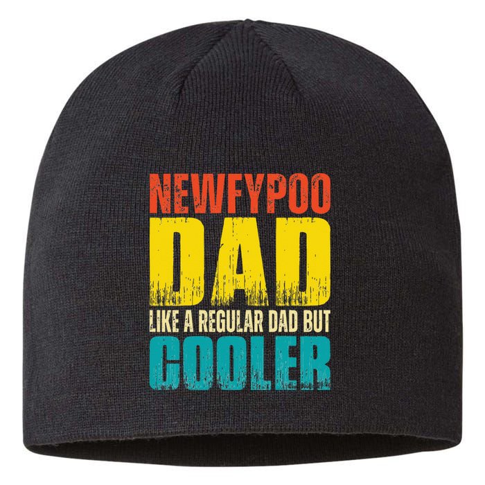 Newfypoo Dad Like a Regular Dad but Cooler Sustainable Beanie