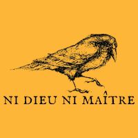 Ni Dieu Ni Maitre Pom Pom 12in Knit Beanie