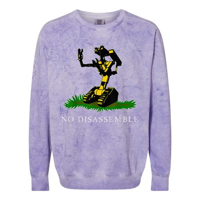 No Disassemble Colorblast Crewneck Sweatshirt