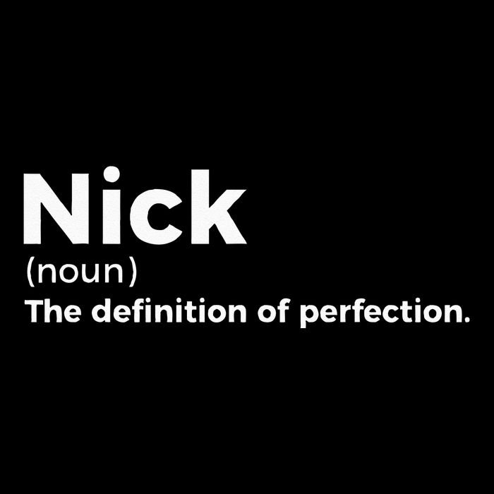 Nick Definition Of Perfection Funny Nick Magnet